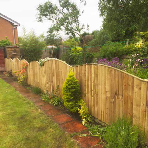 Feather Edge Fence Panels With Arch Top