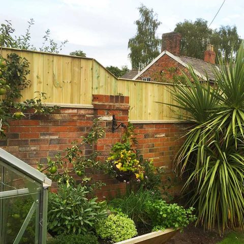 Feather Edge Fence Panels